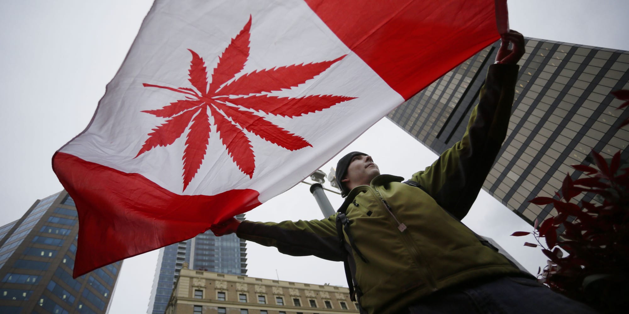 Nación Cannabis | Avanza Canadá en legalización: va por fijación de precios