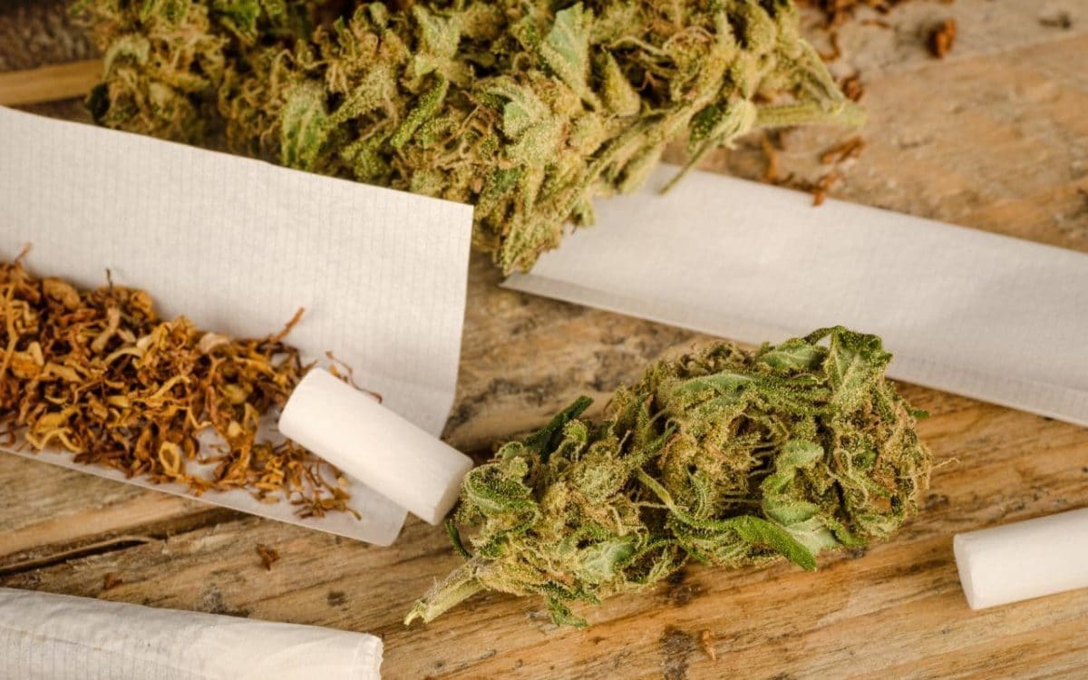 Nación Cannabis | ¿Qué efectos tiene mezclar cannabis y tabaco?