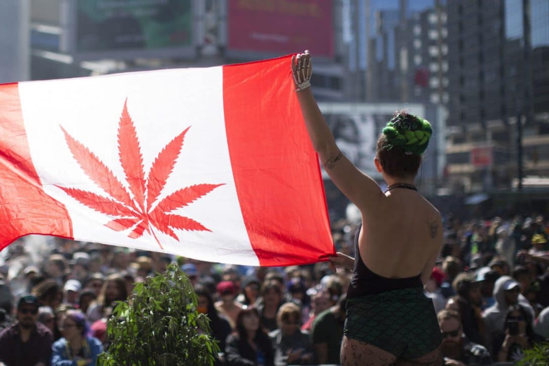 Nación Cannabis | Canadá está invirtiendo agresivamente en la industria de la cannabis estadounidense