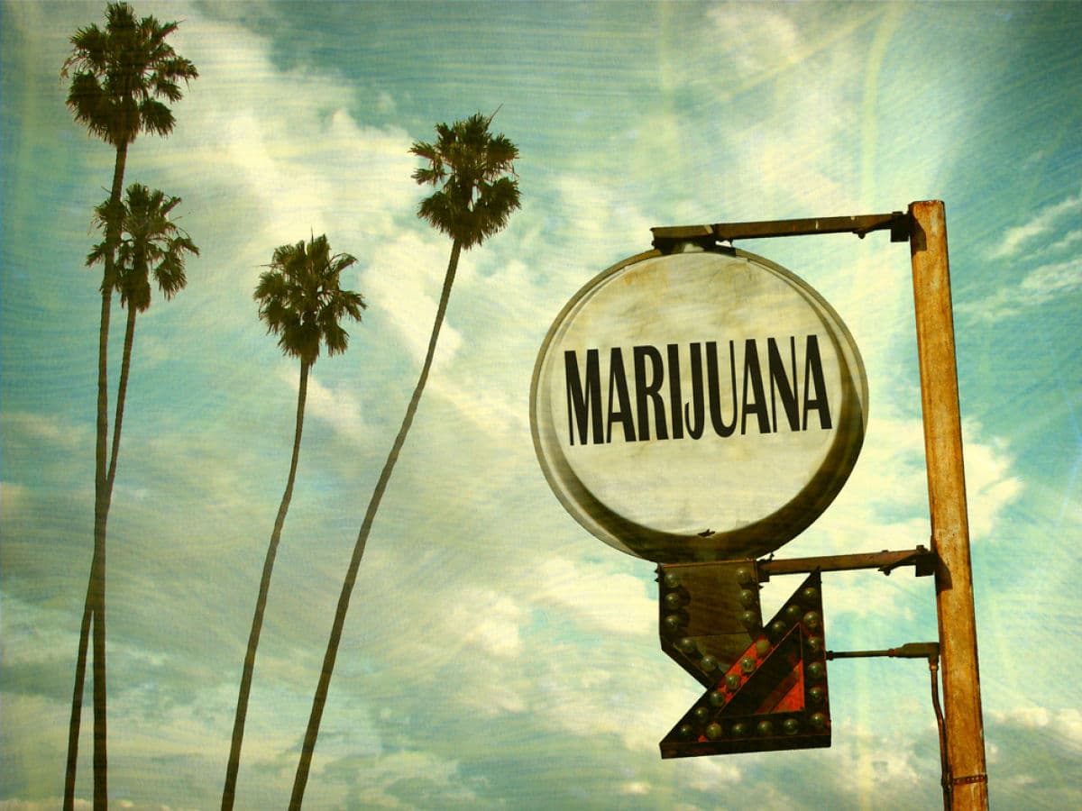 Nación Cannabis | Cannabis recreativa ya es 100% legal en California: se erogaron más de 400 licencias