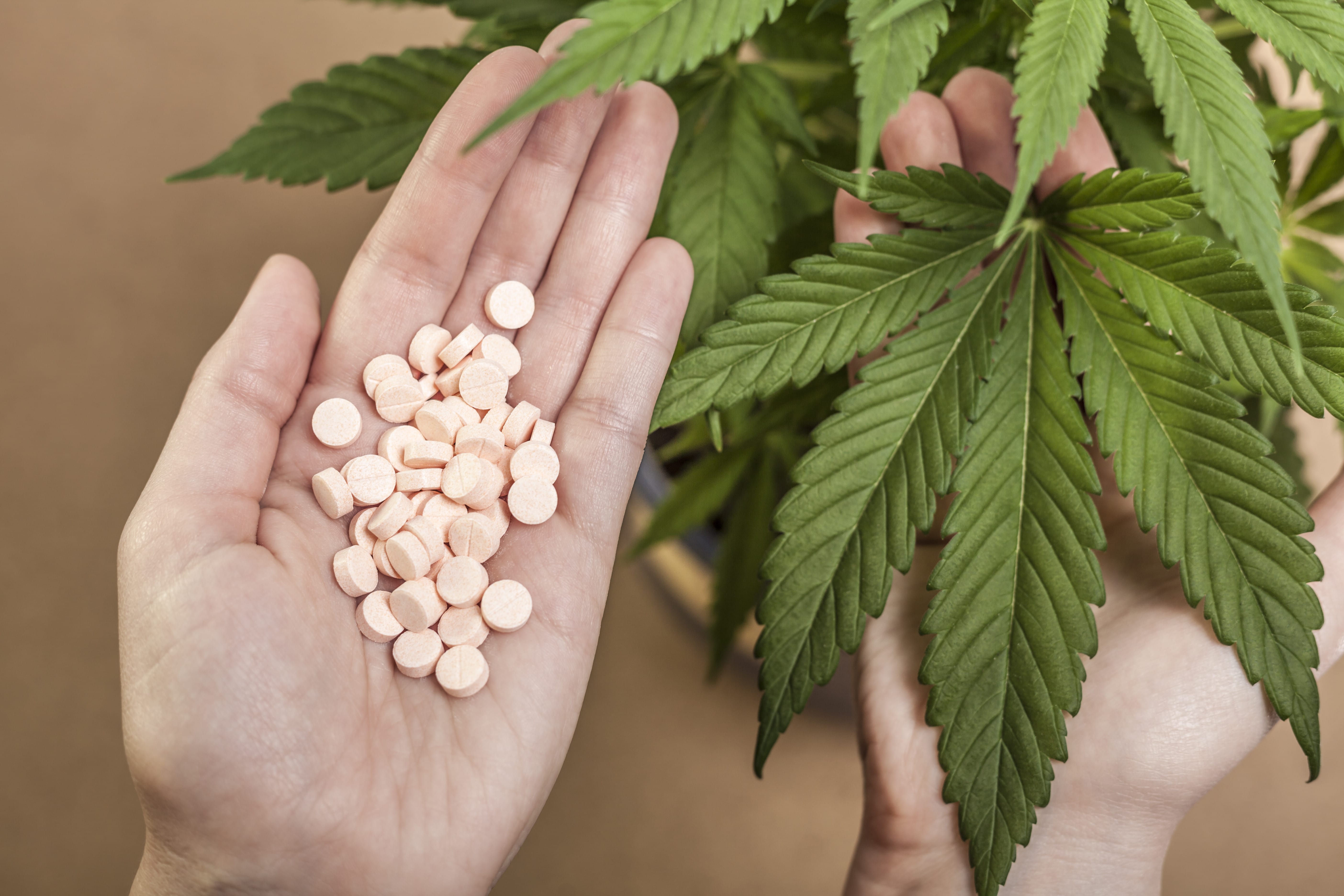Nación Cannabis | Cannabis como la “droga de salida” en el tratamiento a la adicción de opioides