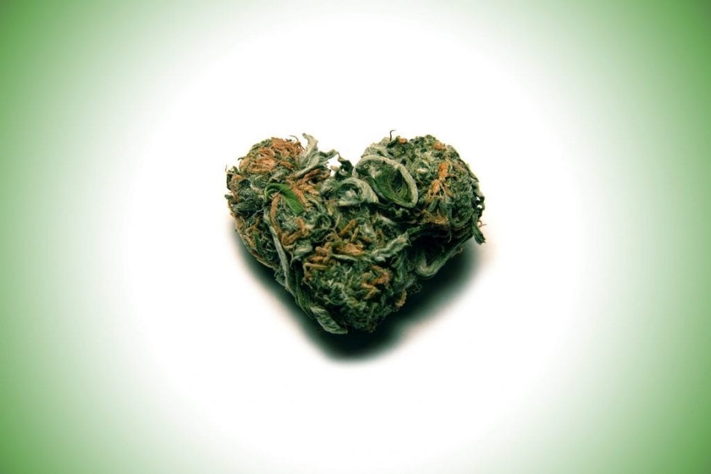 ¿La cannabis afecta al corazón?