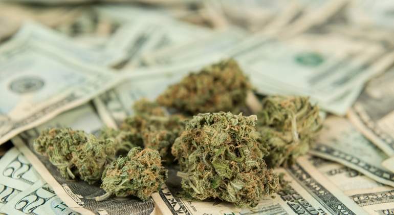Cada vez más gente quiere invertir en marihuana medicinal