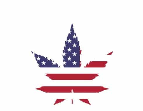 cannabis-bancos-estados-unidos