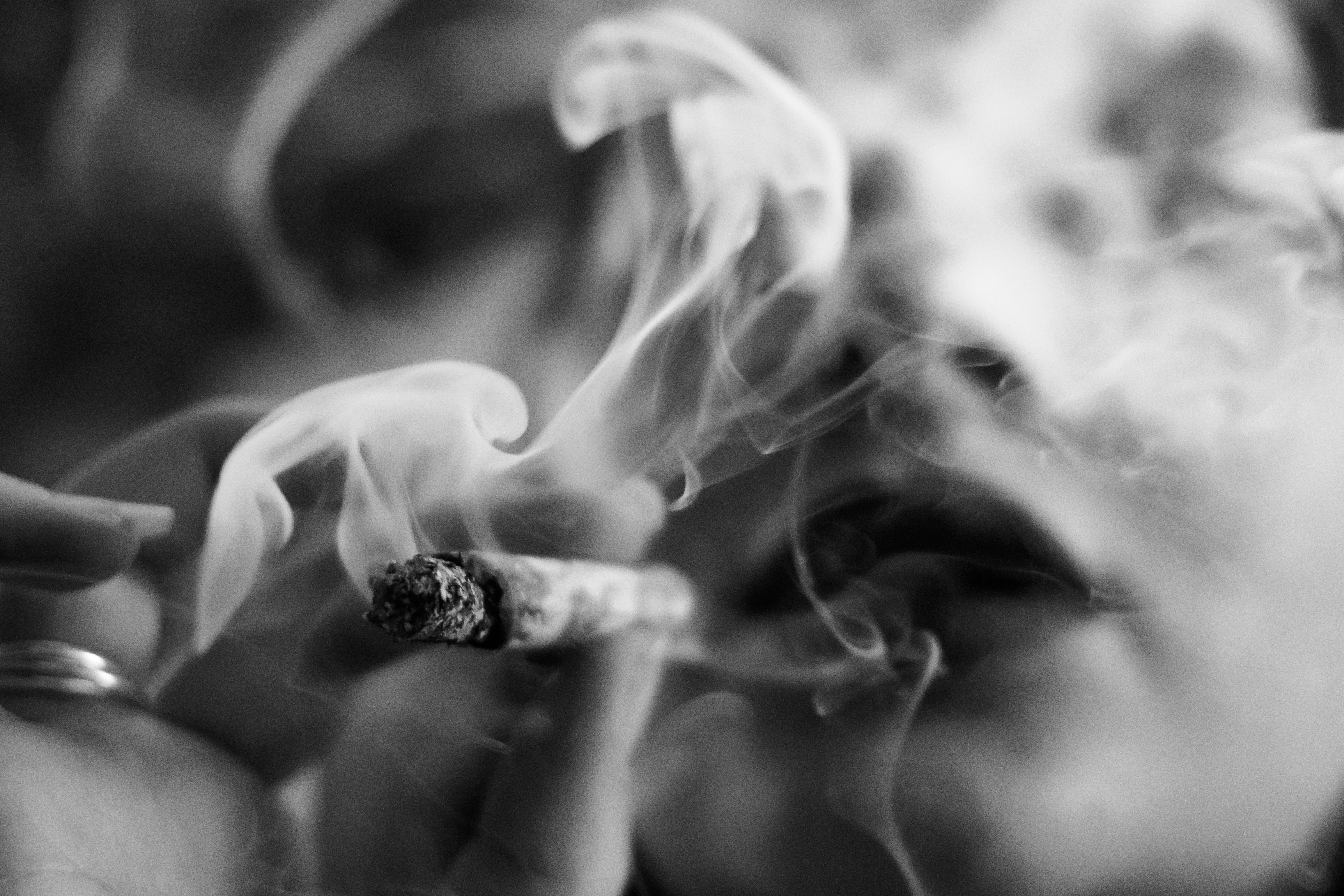 Nación Cannabis | Debate: ¿Fumar marihuana puede hacerte más violento?