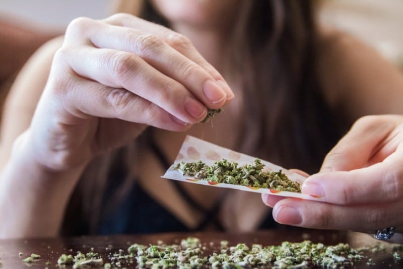 Nación Cannabis | ¿Qué es el CBD y en qué se diferencia del THC y del cáñamo?