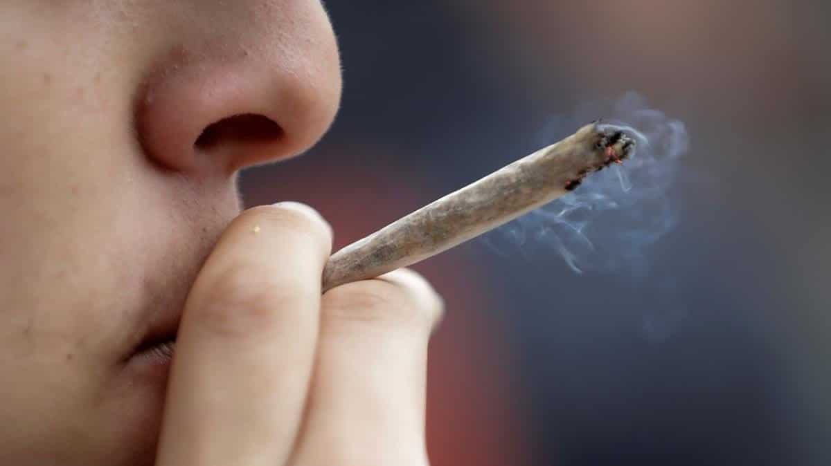 Nación Cannabis | Fake news fomentan criminalización del uso del cannabis
