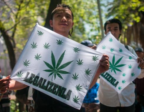Legalización cannabis mexico