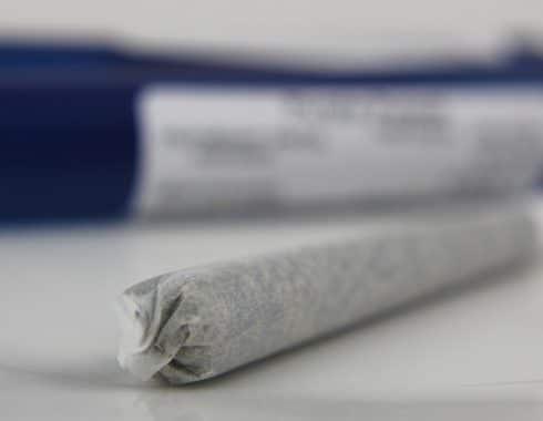 Emprendedores que venden cannabis cuentan sobre su consumo