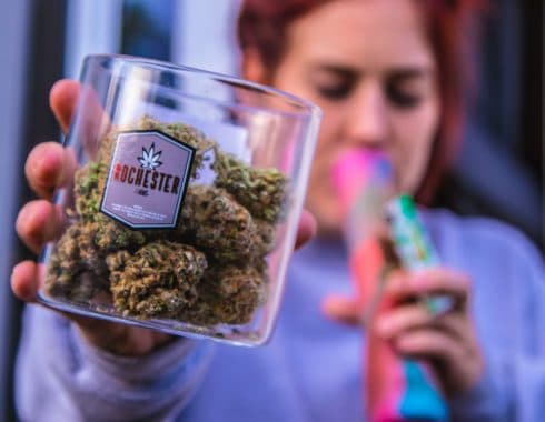 negocios-industria-cannabica