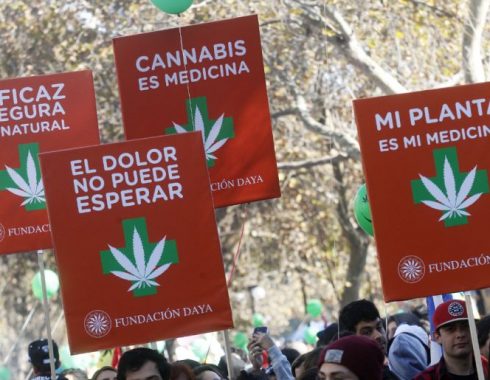 Perú cannabis medicinal