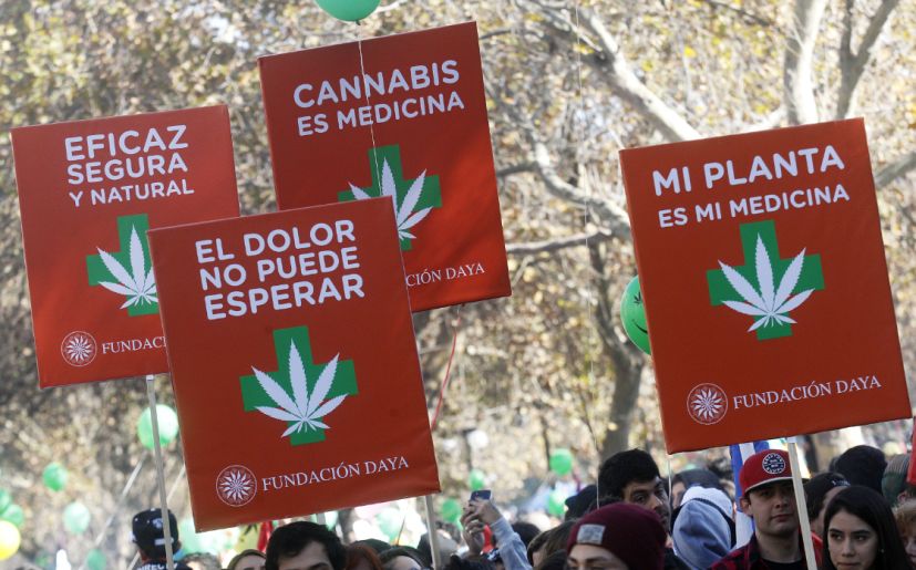 Nación Cannabis | Perú aprueba lineamientos para uso de cannabis medicinal