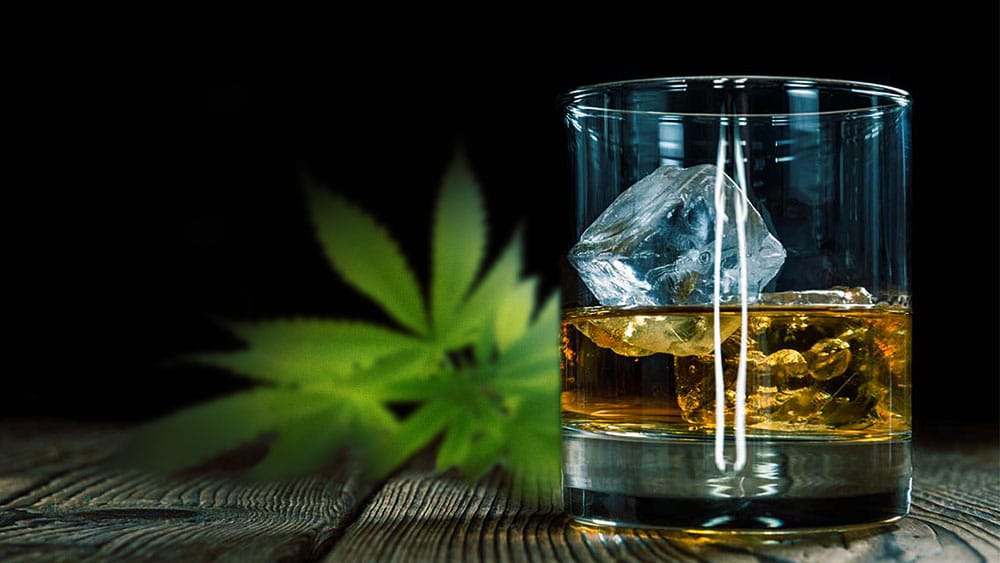 alcohol vs cannabis