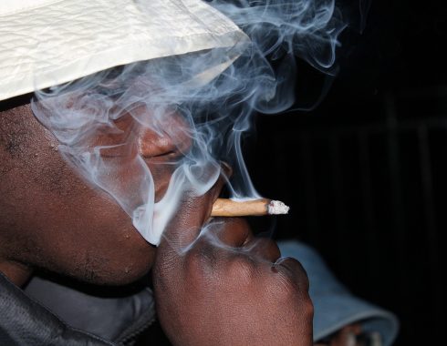 cannabis-negocio-equidad