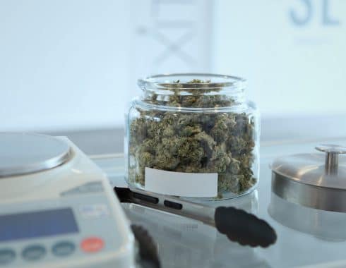 cannabis medicinal paraguay