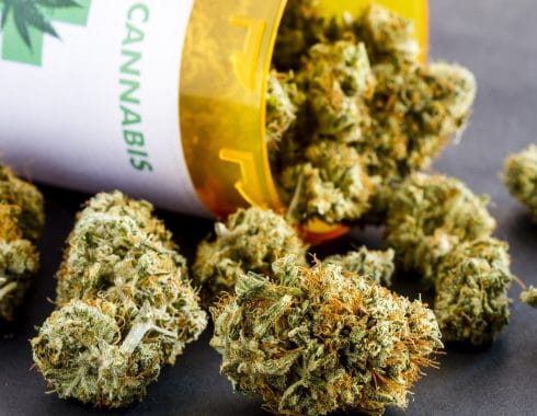 Cuidados paliativos Cannabis Medicinal