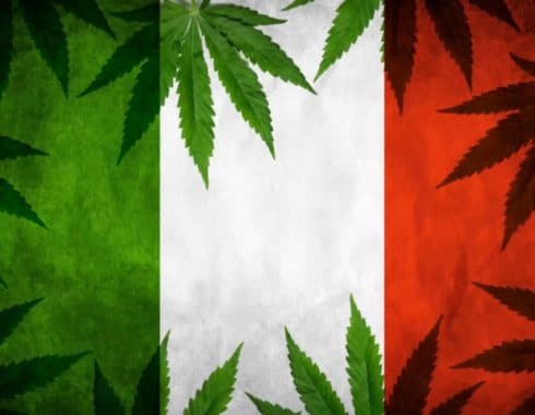 cannabis italia