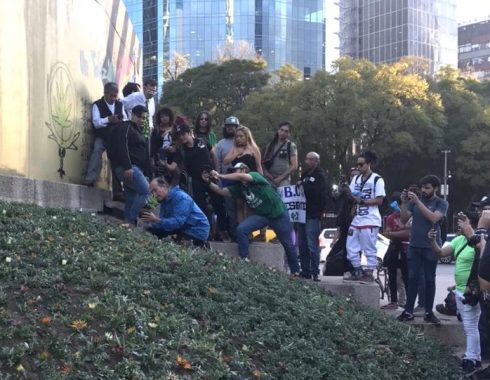 legalizar marihuana mexico