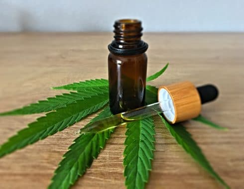 cannabis panama