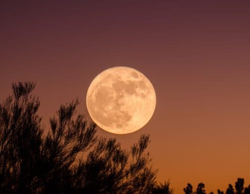 cannabis y la luna