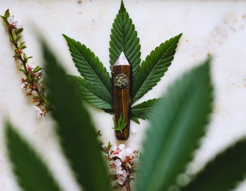 Quien descubrió el cannabis medicinal