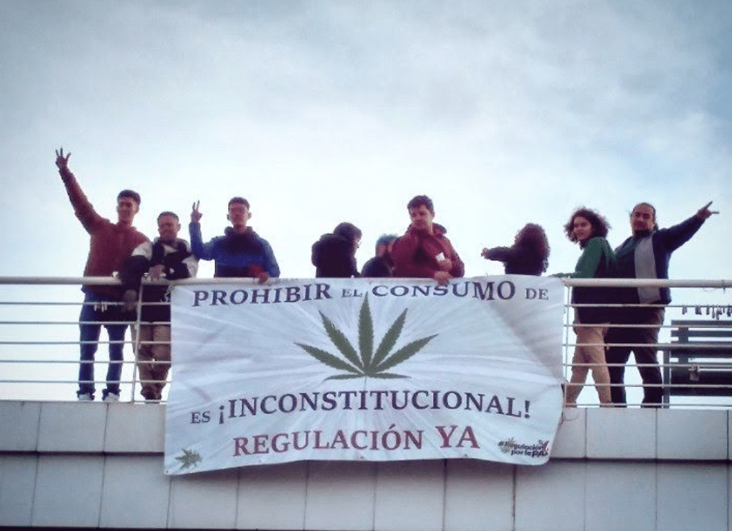 Nación Cannabis | 6 aspectos que debes conocer si quieres vender cannabis legal en México