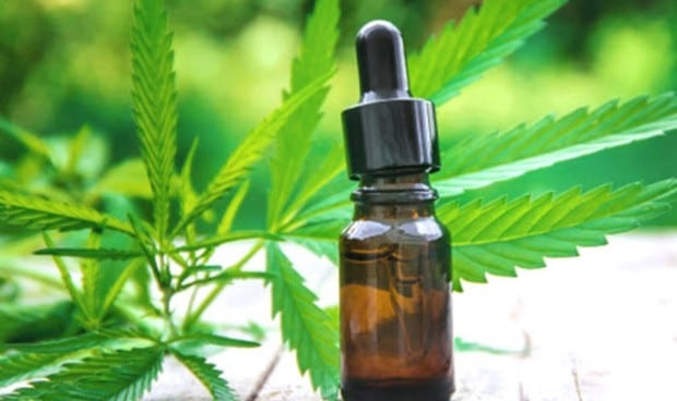 El creciente consumo y uso de cannabis medicinal