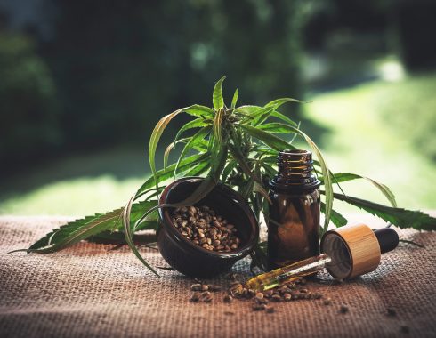 CCBD: cannabinoide curativo