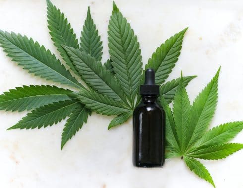 La weed: ¿una moda pasajera?