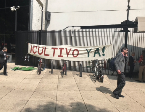 Senado quedaría mucho a deber al regular cannabis