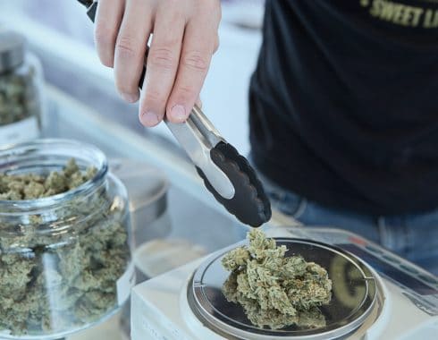 Fibromialgia y su tratamiento con cannabis