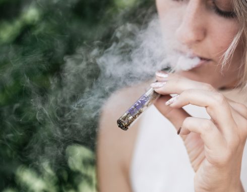 Legalización del cannabis en Nueva Zelanda: en marcha