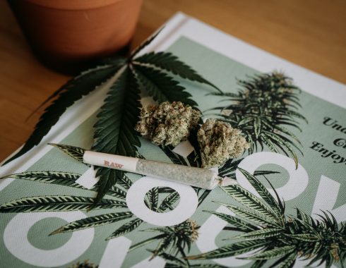 Legalización de cannabis