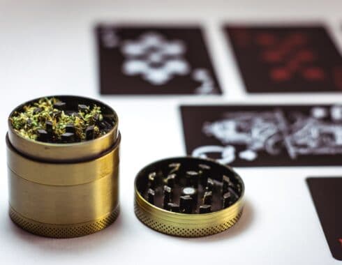 como triturar cannabis