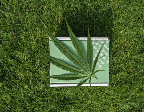 marihuana en tu casa
