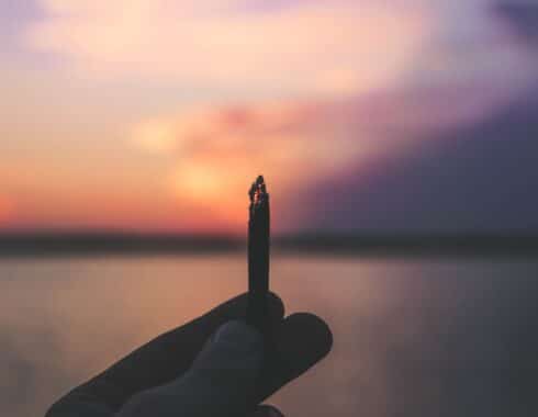 4/20 clave cultura cannabis