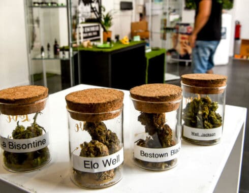 Francia distribuirá cannabis medicinal gratuito