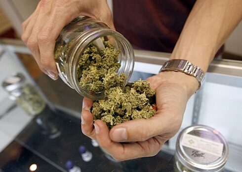 Uruguay analiza vender marihuana a turistas